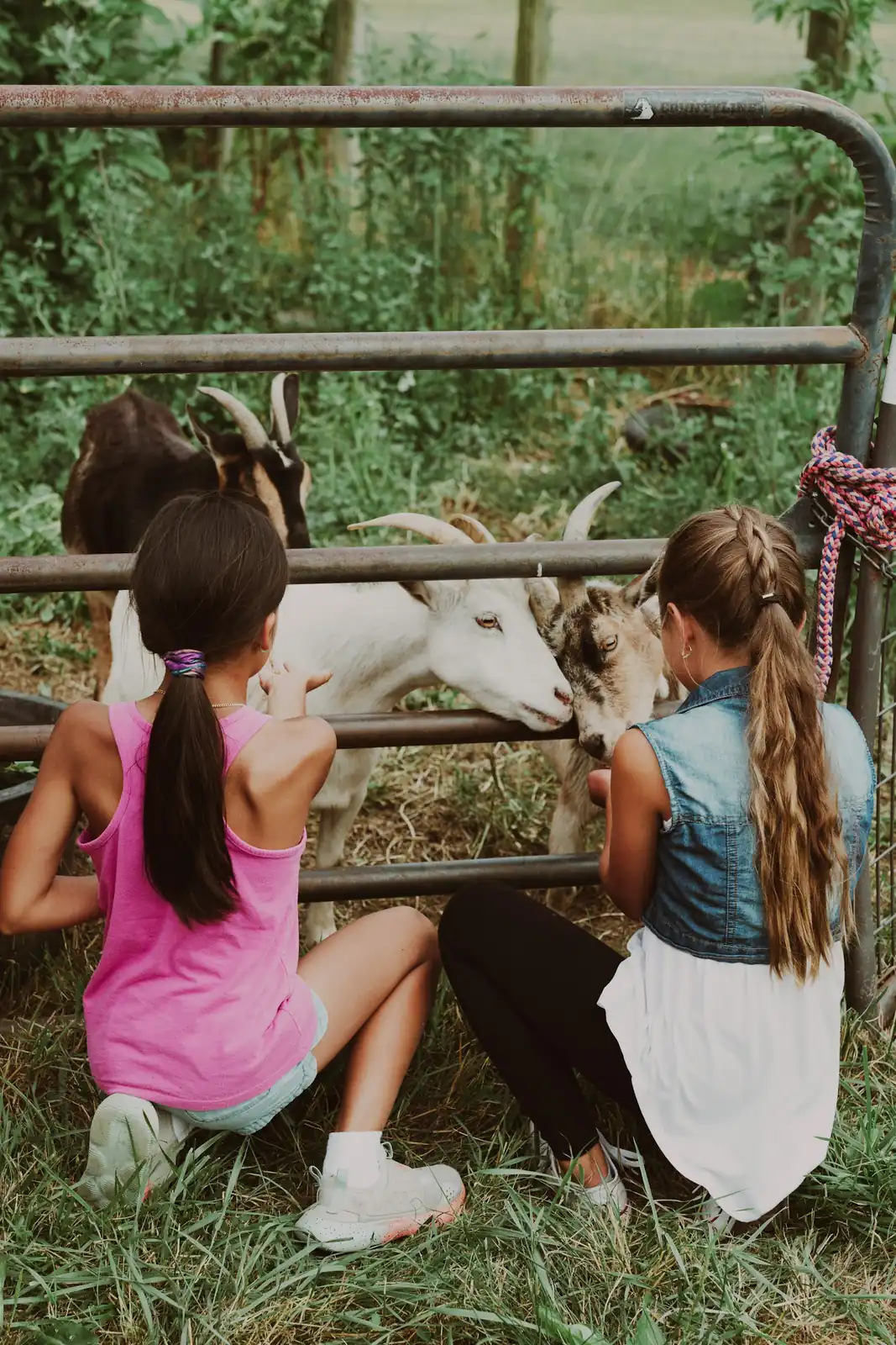 Two children sitting on the ground petting a cow