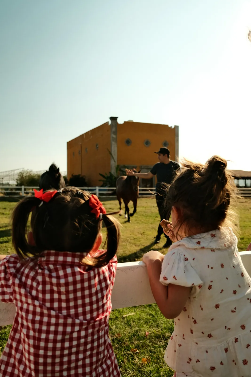 Children watching a farmer lead a horse across a sunny field