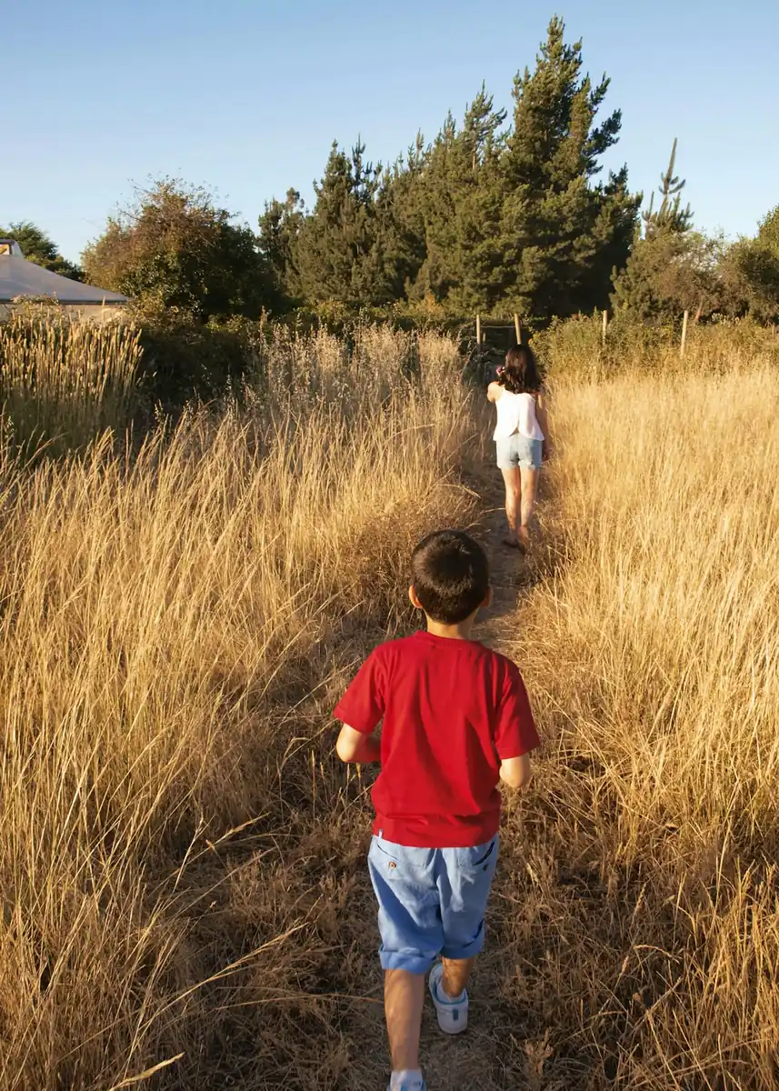 Two children walking along a path through tall grass