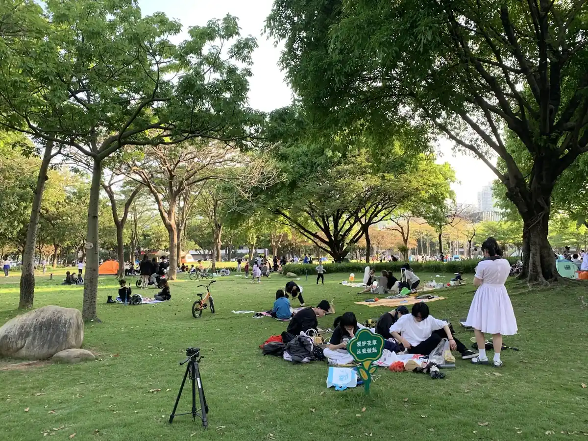 Families on the grass under trees in a park