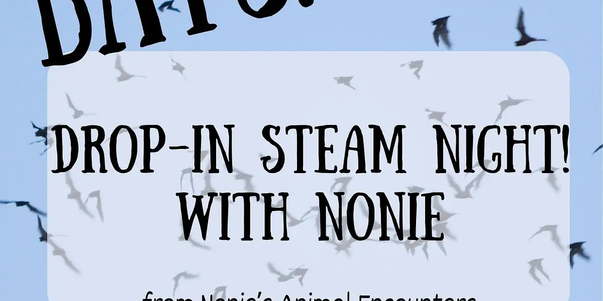 Drop In Family STEAM!