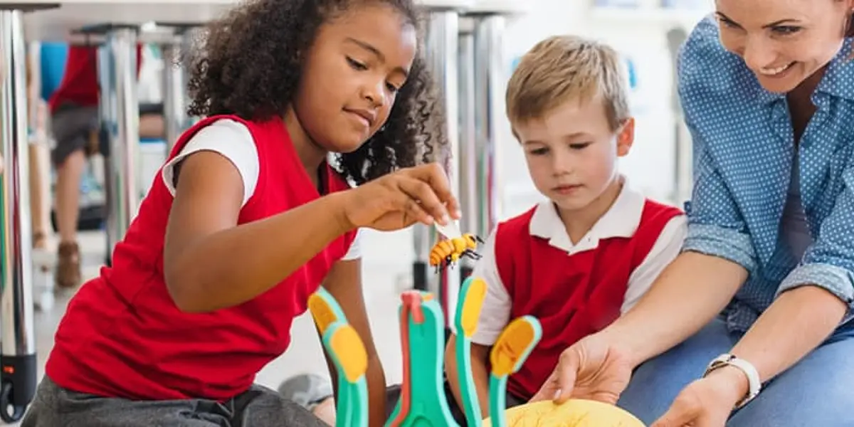 Craft with Curiosity
