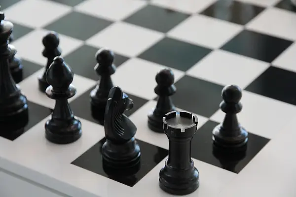 Chess at Riverdale Public Library