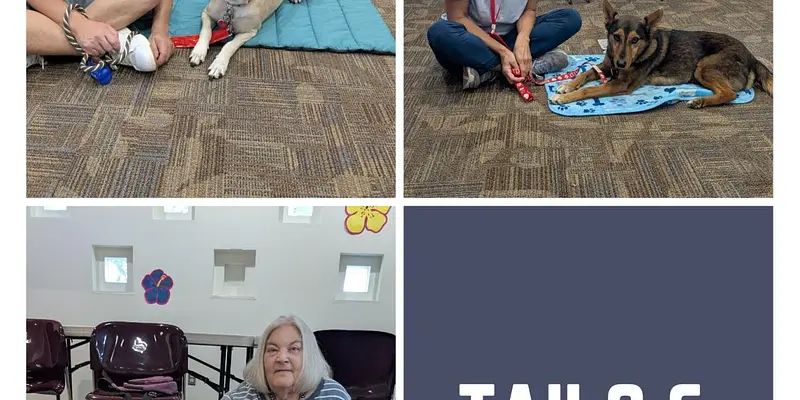 Tails and Tales
