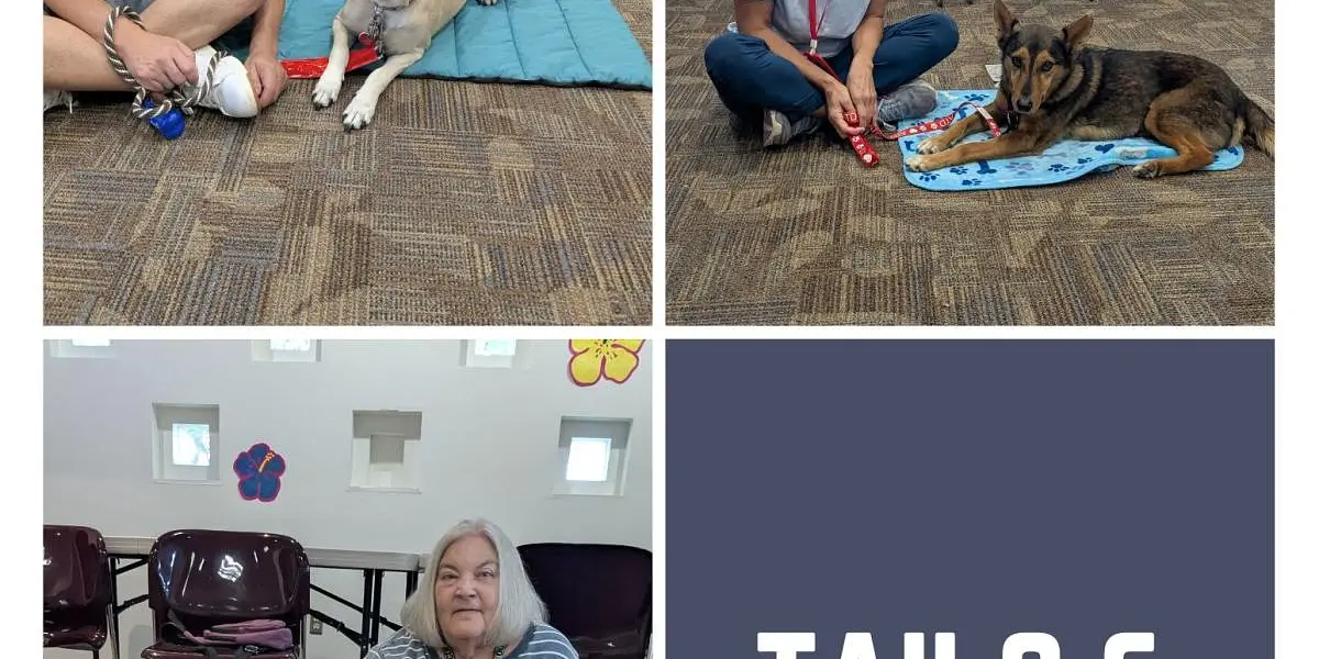 Tails and Tales