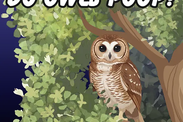 Do Owls Poop? at Preston Royal Branch