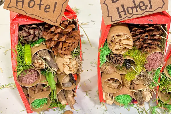 EQ Craft Crew: Bug Hotels! at Elsie Quirk Library