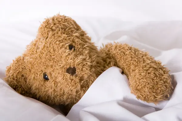 Teddy Bear Sleepover at Forest Green Branch