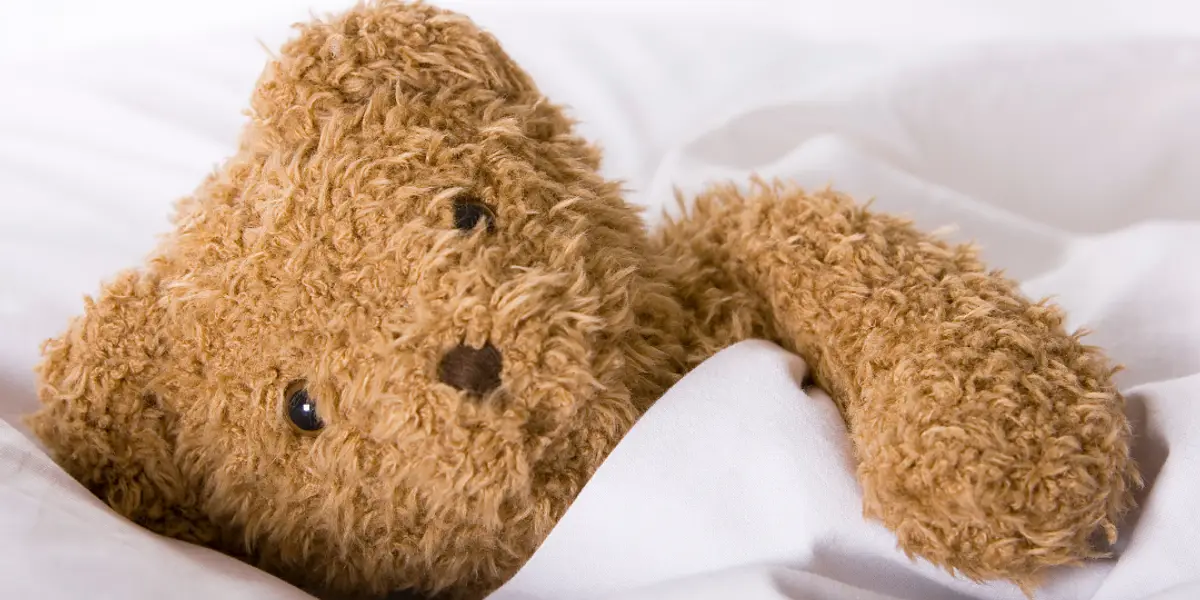 Teddy Bear Sleepover