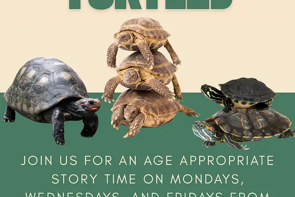 Story Time: Turtles at Valparaiso Library