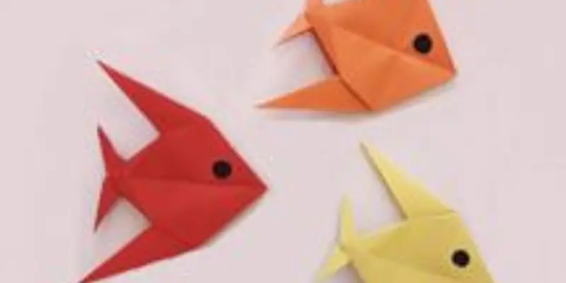 Beginner Origami