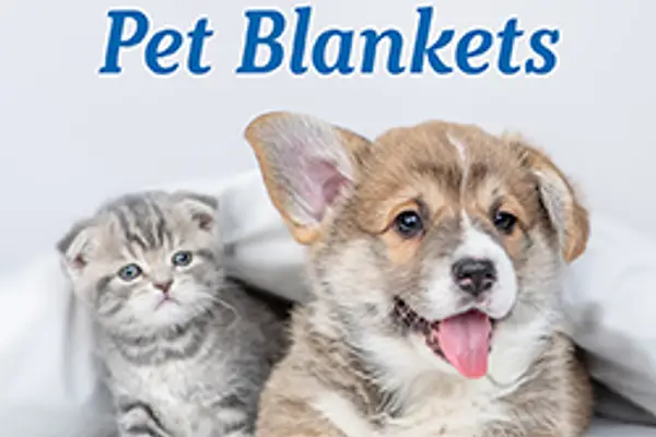 No-Sew Pet Blankets at Mount Airy Branch