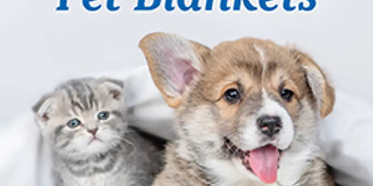No-Sew Pet Blankets