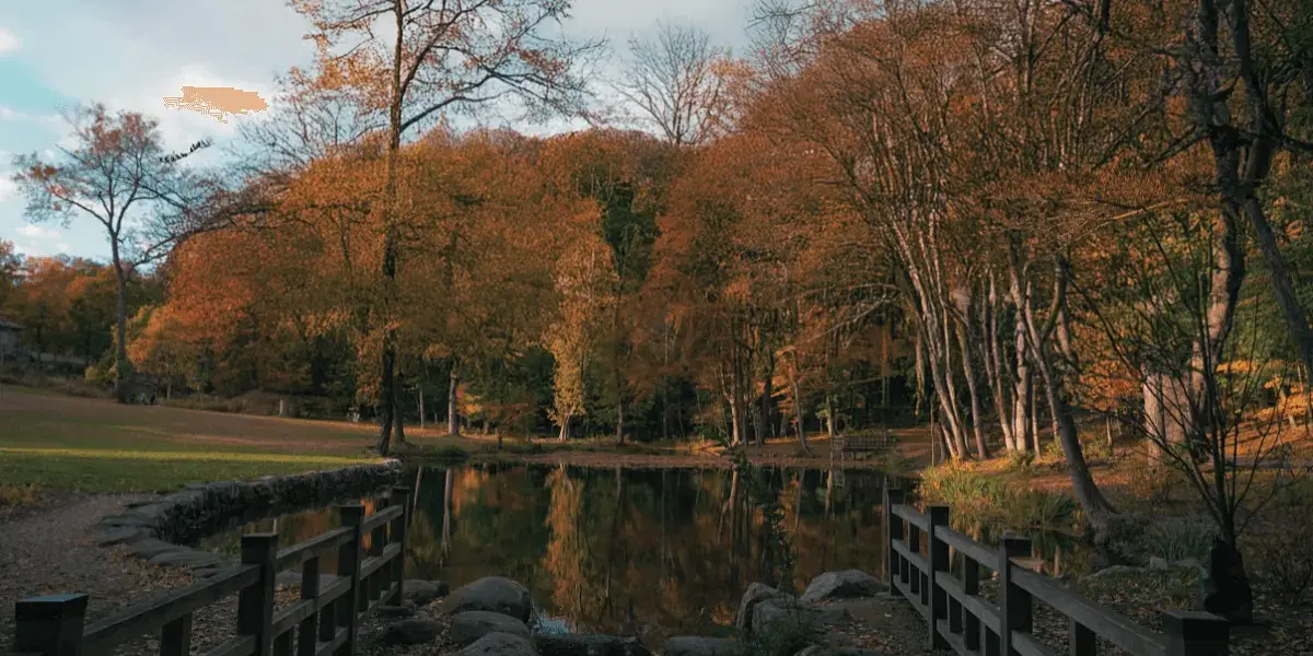 Homeschooling in Connecticut