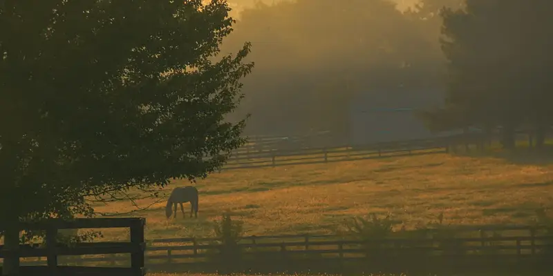 Homeschooling in Kentucky