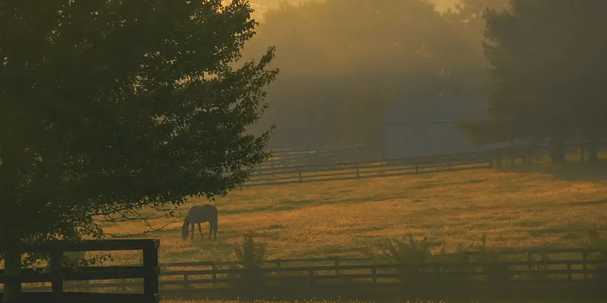 Homeschooling in Kentucky