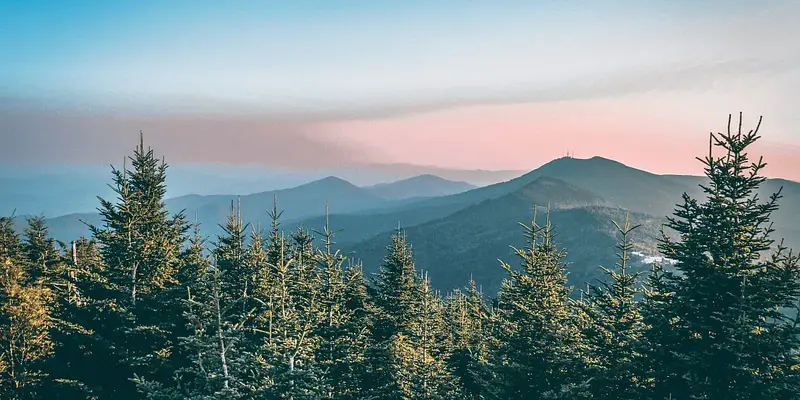 Homeschooling in North Carolina