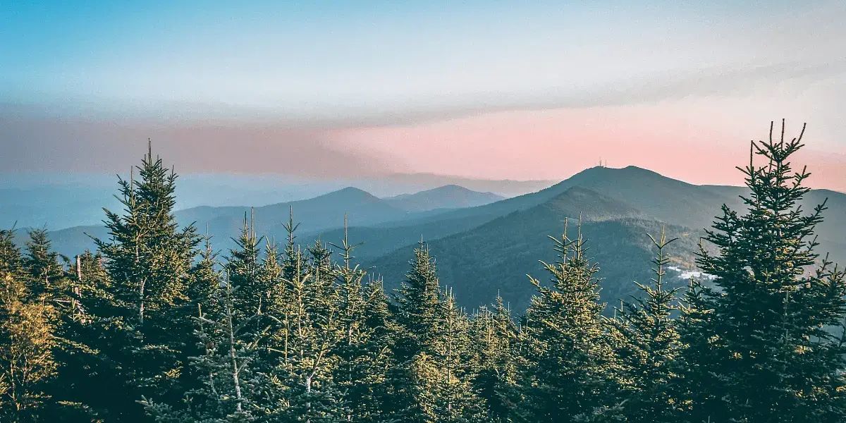 Homeschooling in North Carolina
