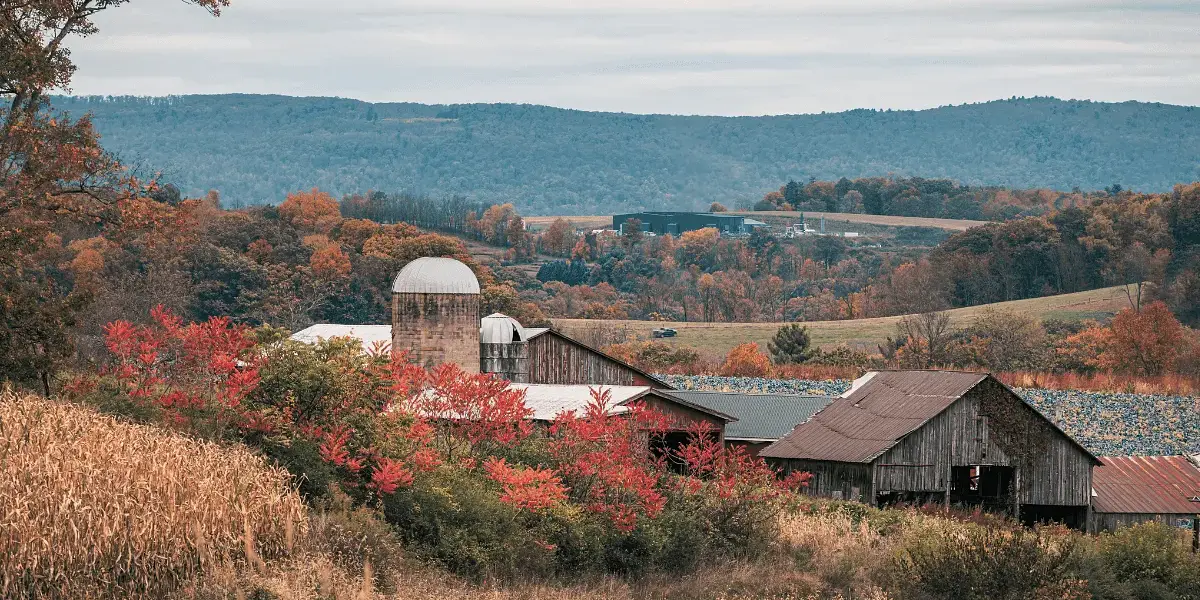 Homeschooling in Pennsylvania