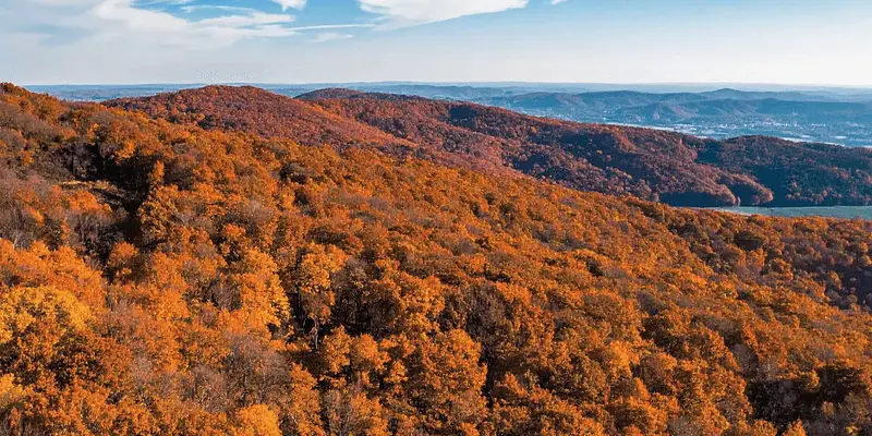 Homeschooling in Tennessee