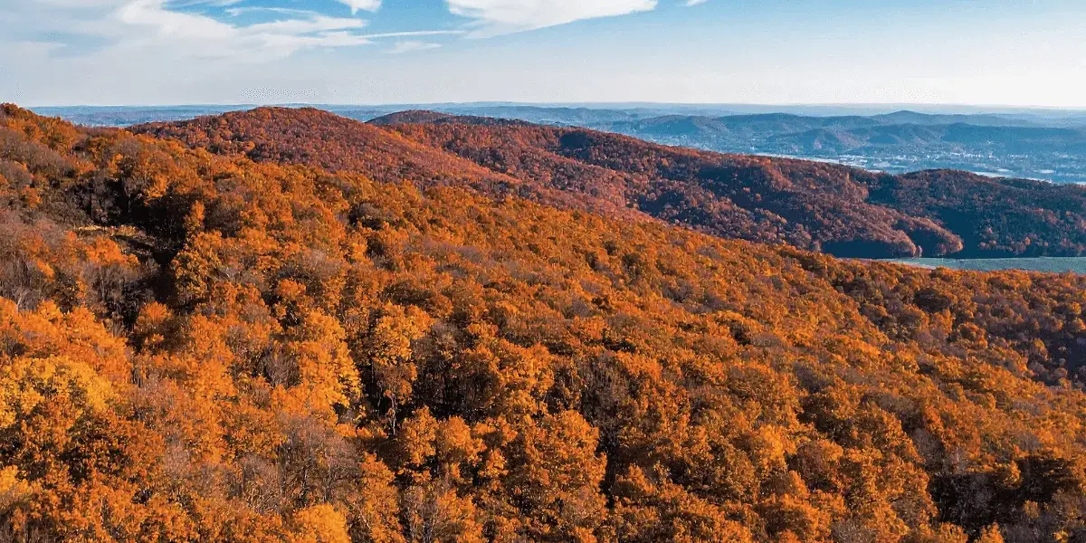 Homeschooling in Tennessee