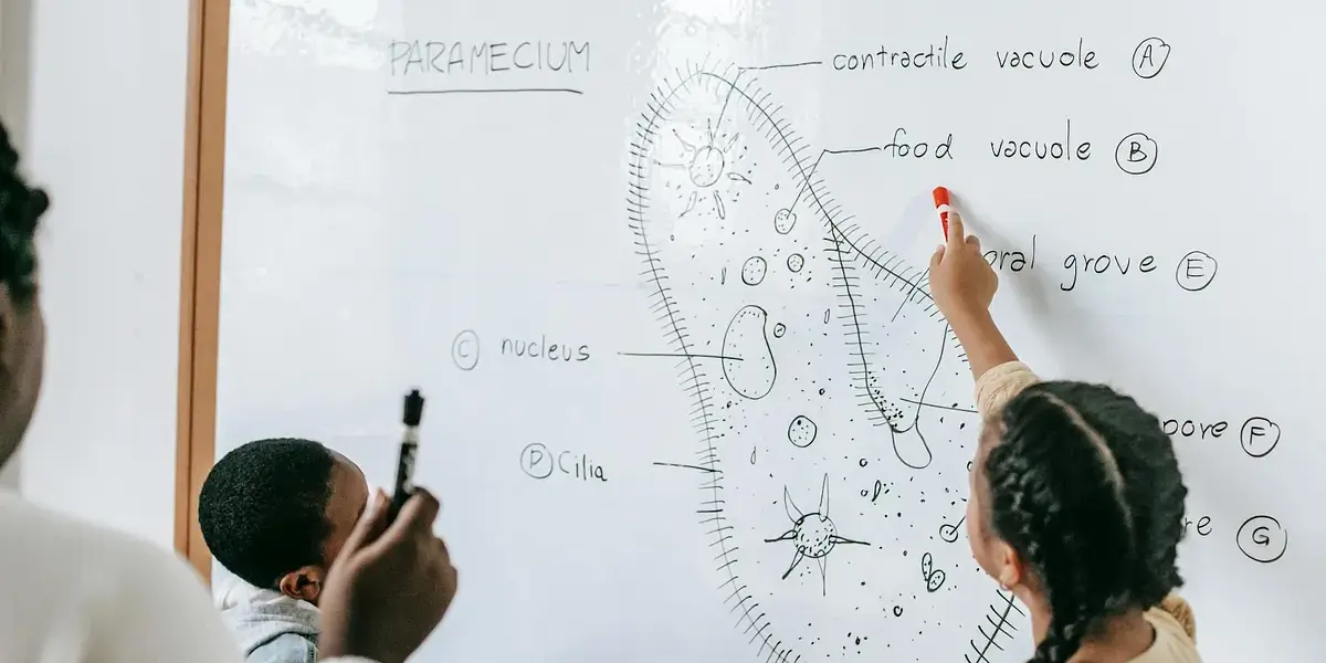Two homeschool students engaged in a biology lesson