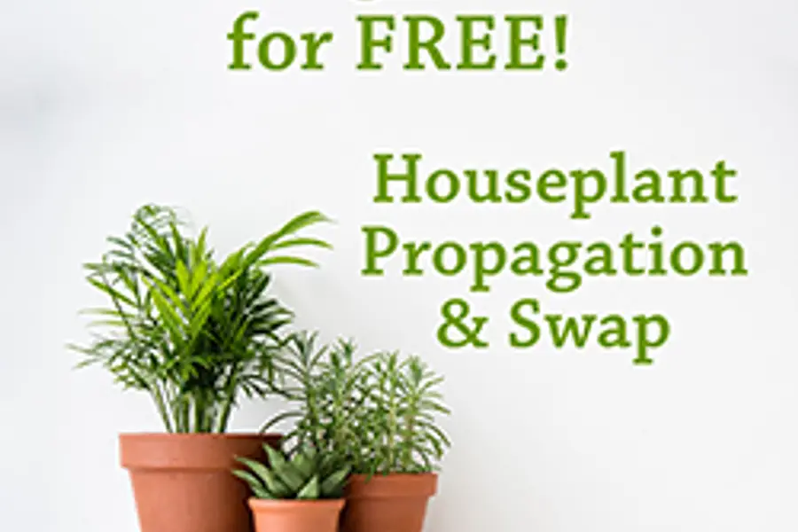 Going Green for Free! Houseplant Propagation & Swap at Finksburg Branch