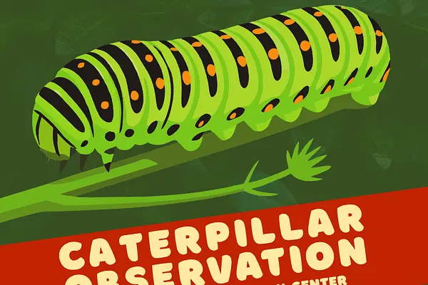 Caterpillar Observation at the Youth Discovery Center! at J. Erik Jonsson Central Library
