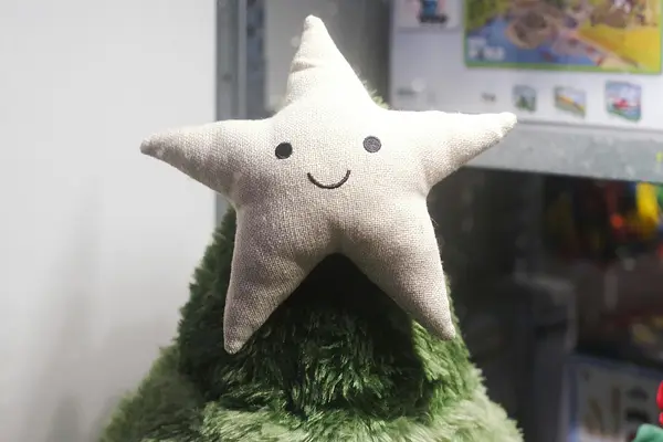 DIY Star Ornaments at Mountain Creek Branch