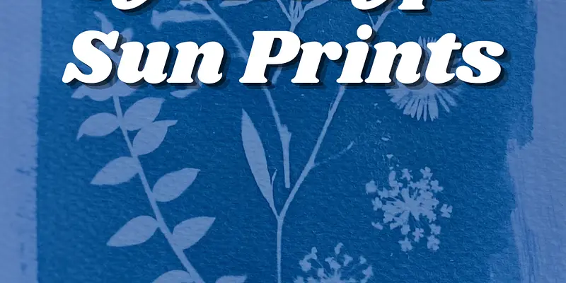 Cyanotype Sun Prints
