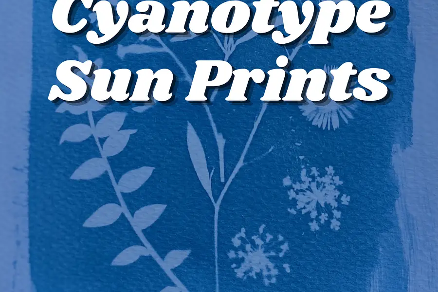 Cyanotype Sun Prints at Preston Royal Branch