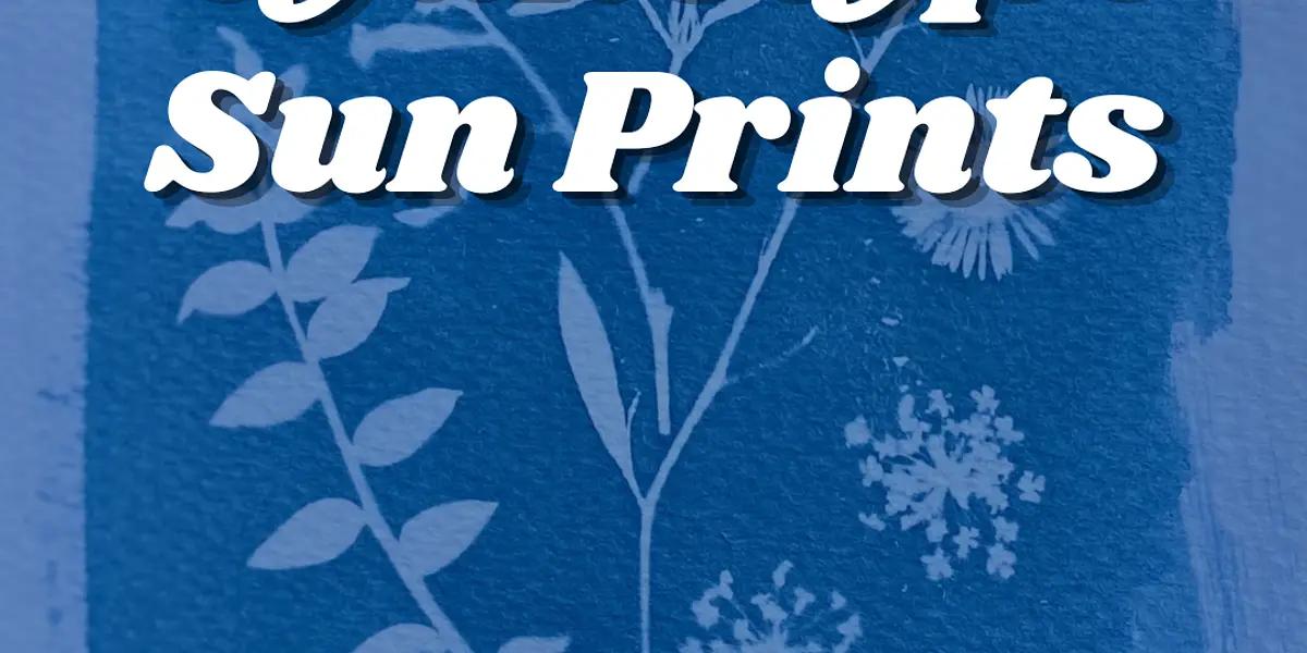Cyanotype Sun Prints