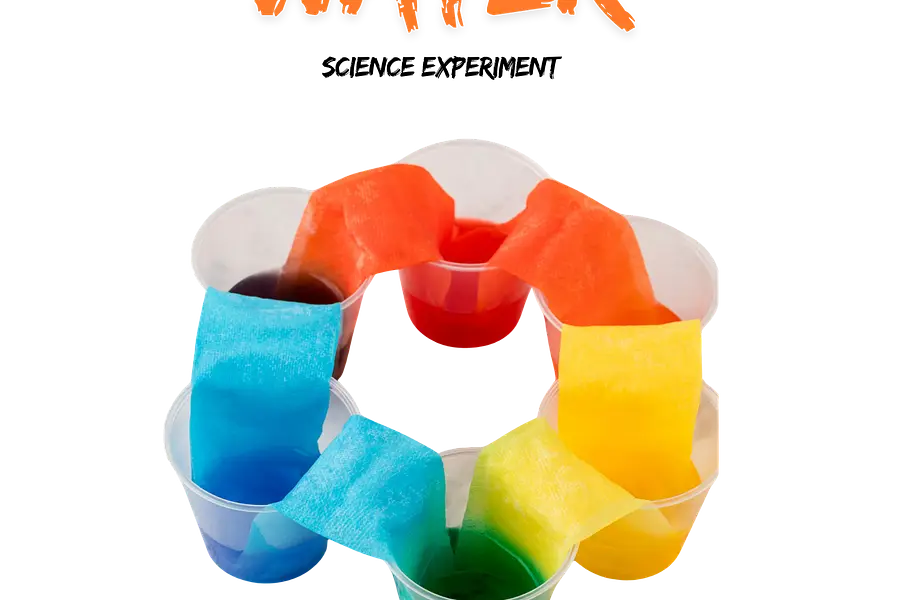 Walking Water at Martin Luther King, Jr.