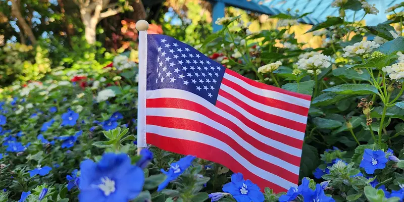 Veterans Day Appreciation