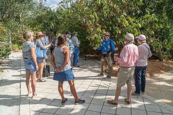 Daily Tours at Naples Botanical Garden