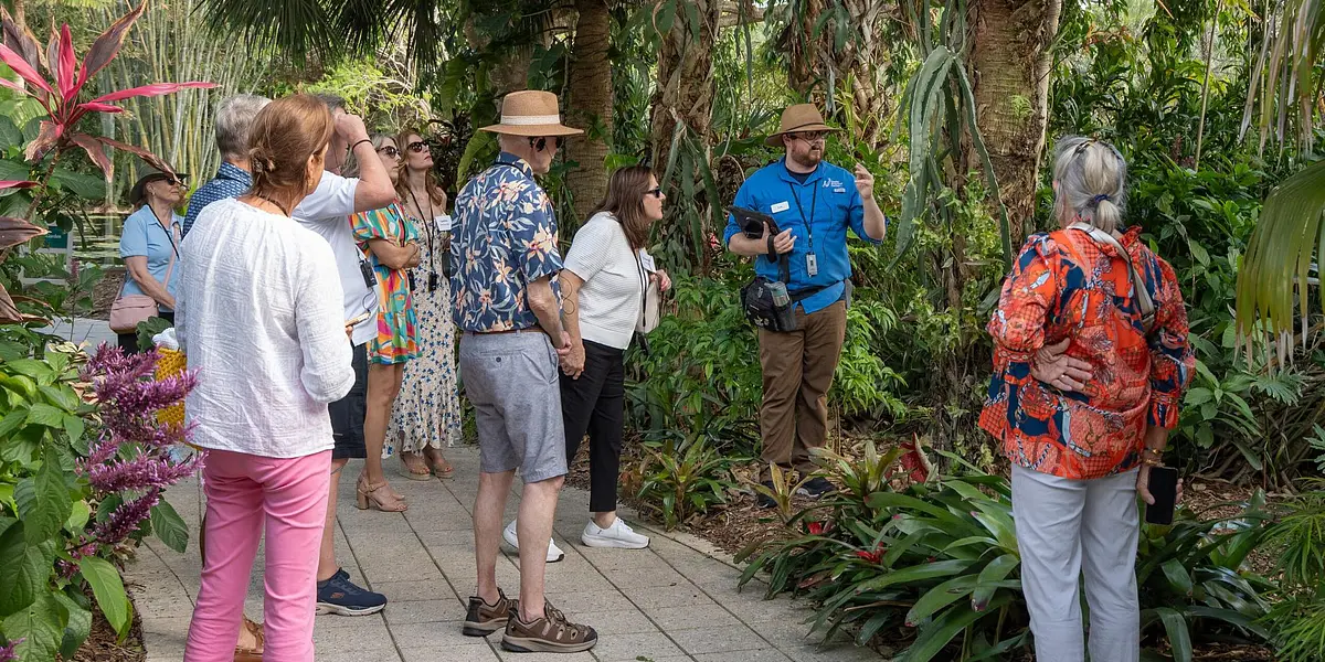 Daily Tours