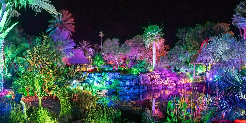 Johnsonville Night Lights in the Garden