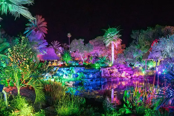 Johnsonville Night Lights in the Garden at Naples Botanical Garden