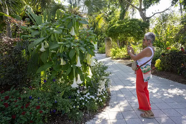 Picture Perfect! Smartphone Nature Photography at Naples Botanical Garden