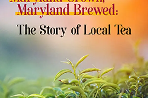 Maryland Grown, Maryland Brewed: The Story of Local Tea