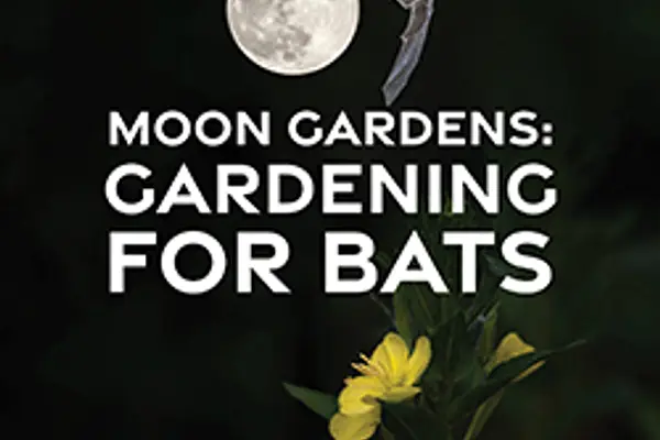 Moon Gardens: Gardening for Bats