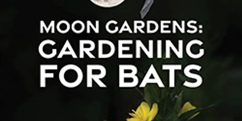 Moon Gardens: Gardening for Bats