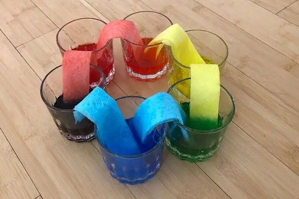 STEM: Walking Water at Arcadia Park Branch
