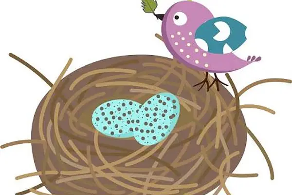 Recycled Paper Bird's Nests at Hampton-Illinois Branch