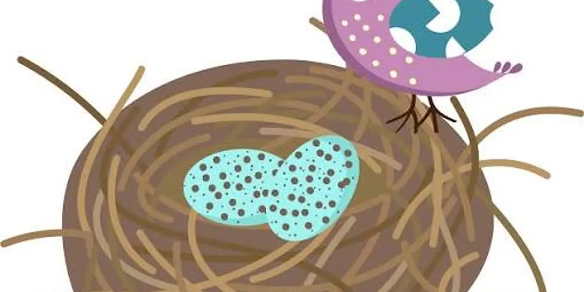 Recycled Paper Bird's Nests
