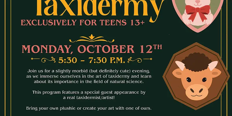 Stuffed Animal Taxidermy (For Teens 13+) - North