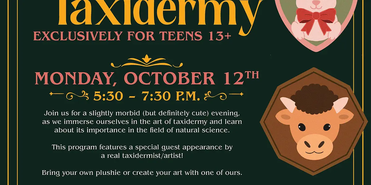 Stuffed Animal Taxidermy (For Teens 13+) - North