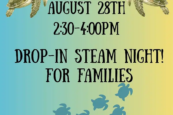 Sea Turtles Program and Event (Drop-In Family STEAM Event) at Mary Esther Library