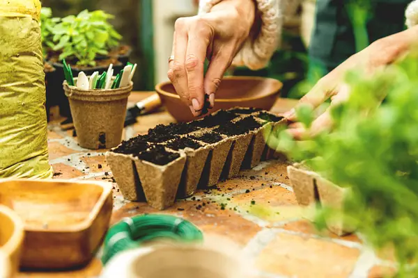 Seeds of the Season: From Seed to Harvest at New Port Richey Public Library