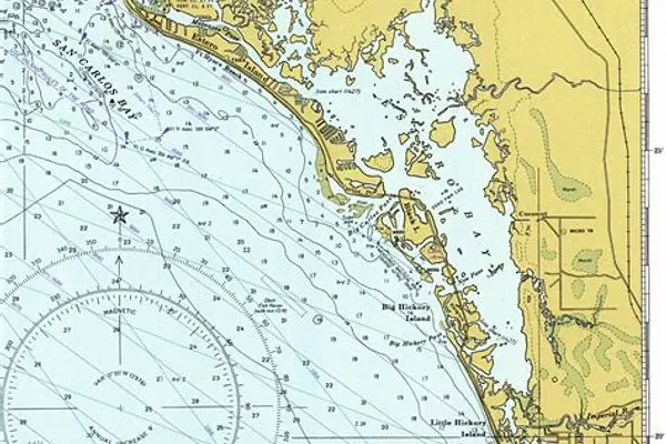 Marine Preservation on Florida’s Gulf Coast: A History